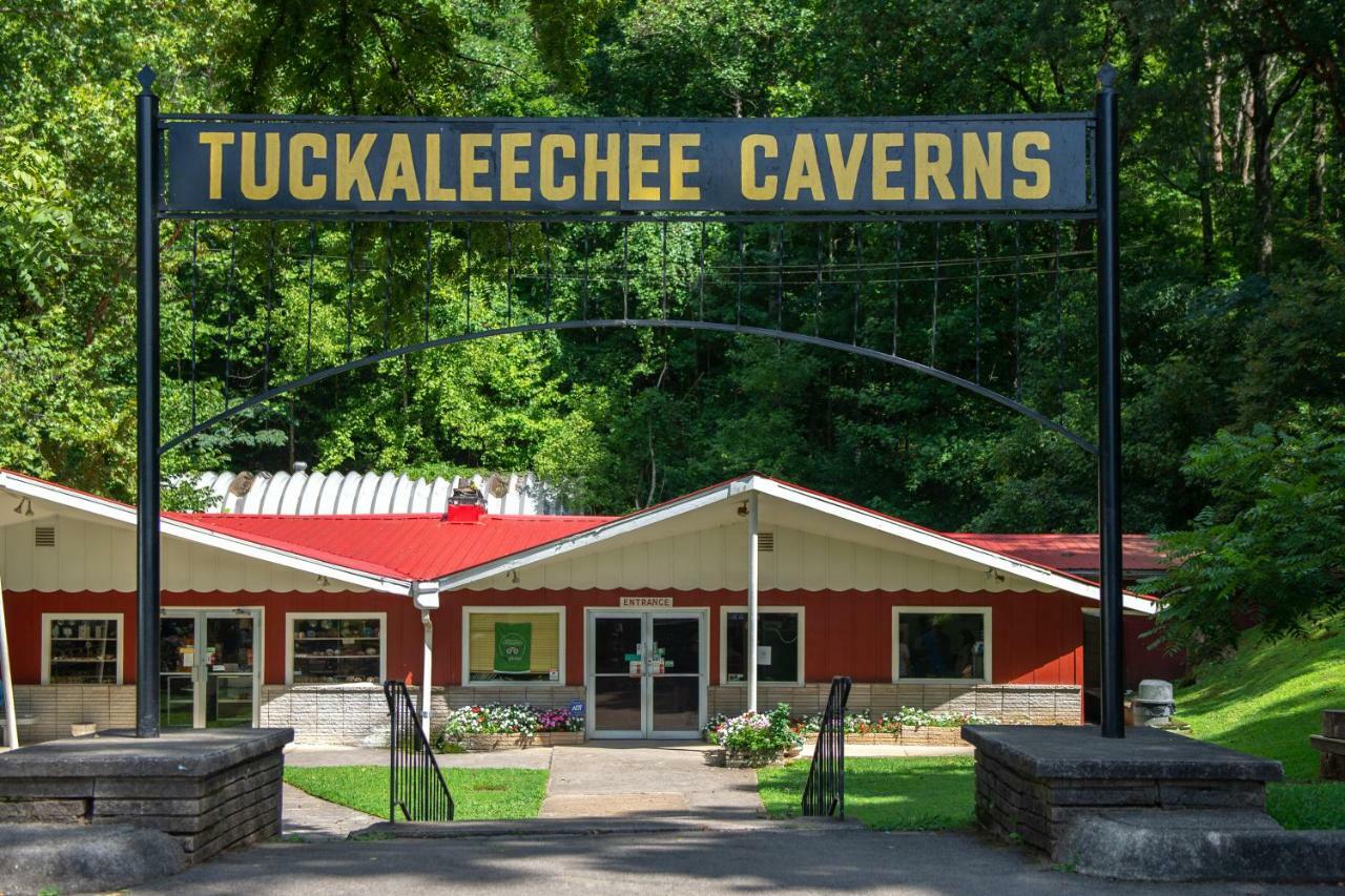 Twin Cub Lodge Tuckaleechee المظهر الخارجي الصورة